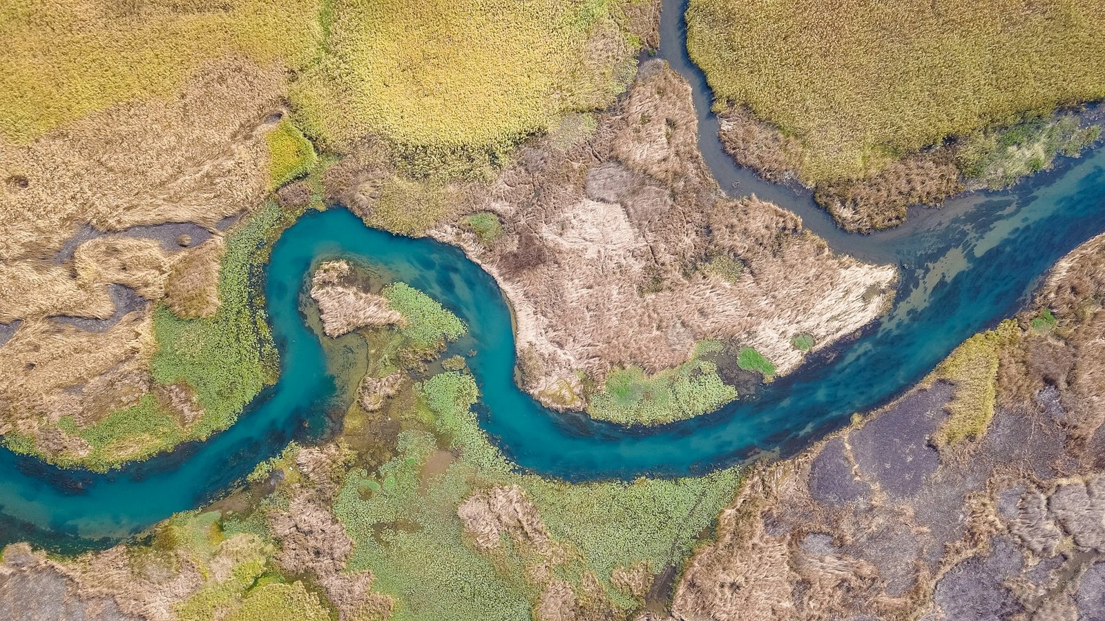 A river winding through the land, seen from above