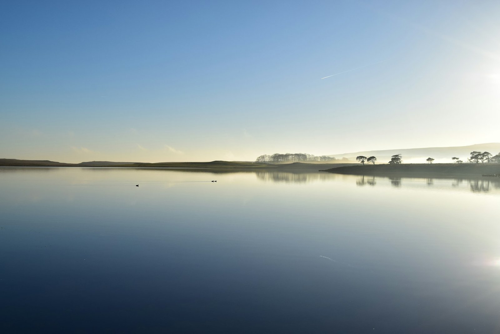 Perfectly still water under a clear sky at first light